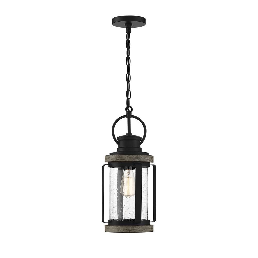 Savoy House Parker 1-Light Outdoor Hanging Lantern in Lodge