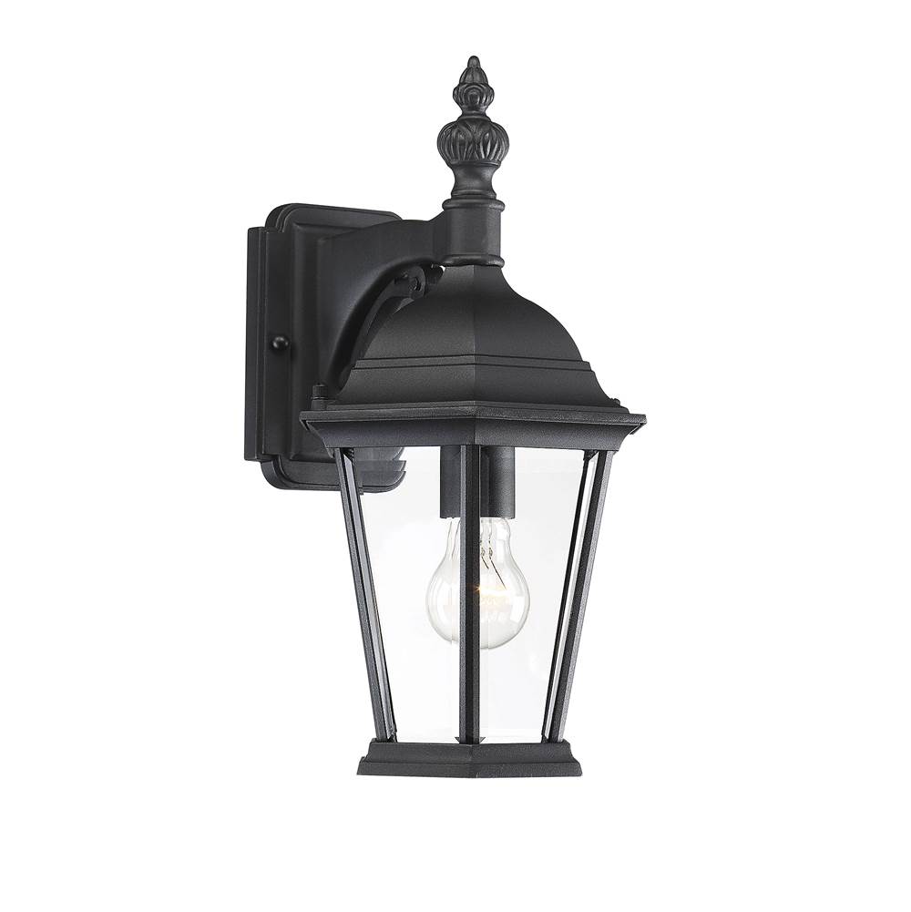 Savoy House 1-Light Outdoor Wall Lantern in Black